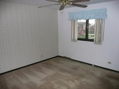 507 Chestnut Ln, Beecher, IL 60401 photo 8