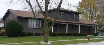 507 Chestnut Ln, Beecher, IL 60401 photo 1
