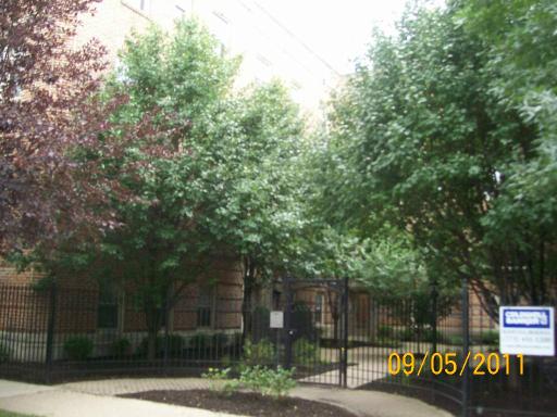 847 E 52nd St #2, Chicago, IL 60615 photo 1