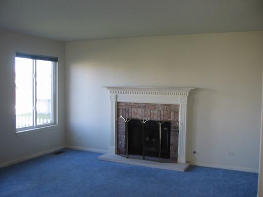 344 Tallgrass Dr, Bartlett, IL 60103 photo 7