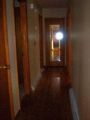 207 3rd Ave, Mendota, IL 61342 photo 7