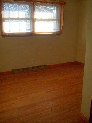 207 3rd Ave, Mendota, IL 61342 photo 8