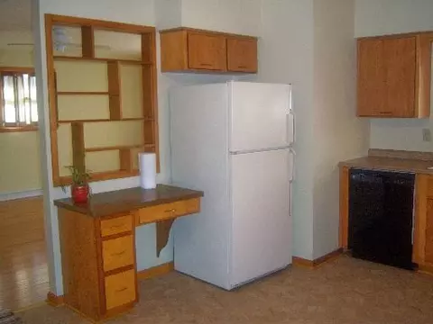 207 3rd Ave, Mendota, IL 61342 photo 5