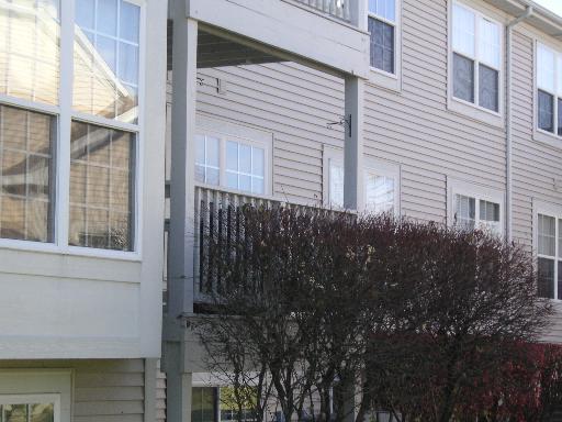 2604 Old Woods Trl, Plainfield, IL 60586 photo 13