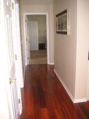 2604 Old Woods Trl, Plainfield, IL 60586 photo 6