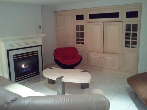 4311 Forest Glen Dr, Hoffman Estates, IL 60192 photo 11