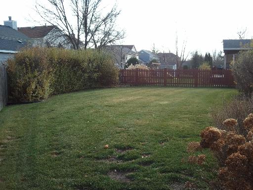 4311 Forest Glen Dr, Hoffman Estates, IL 60192 photo 14