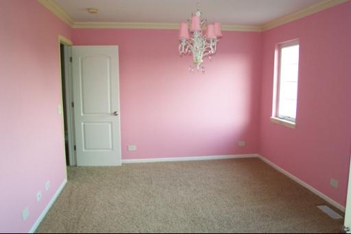 8311 Eagle Ridge Dr, Spring Grove, IL 60081 photo 16