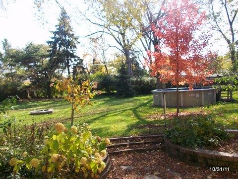 103 Debra Ln, Wheeling, IL 60090 photo 8