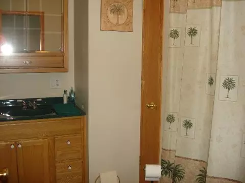 304 Main St, Cherry, IL 61317 photo 13