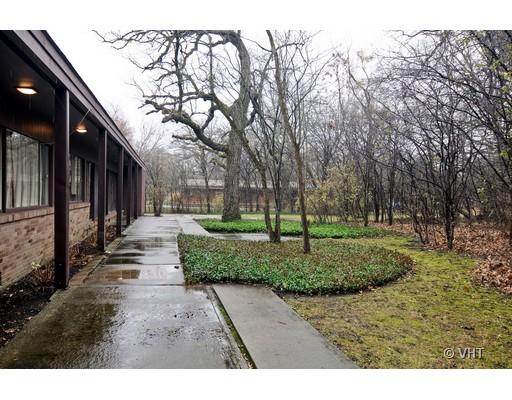 11 Graymoor Ln, Olympia Fields, IL 60461 photo 10