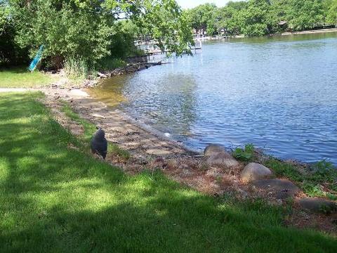 1913 Cary Rd, Algonquin, IL 60102 photo 11