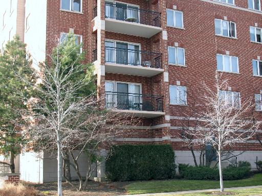 405 W Front St #3-203, Wheaton, IL 60187 photo 2