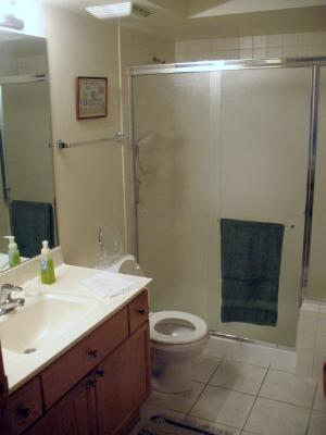 405 W Front St #3-203, Wheaton, IL 60187 photo 10