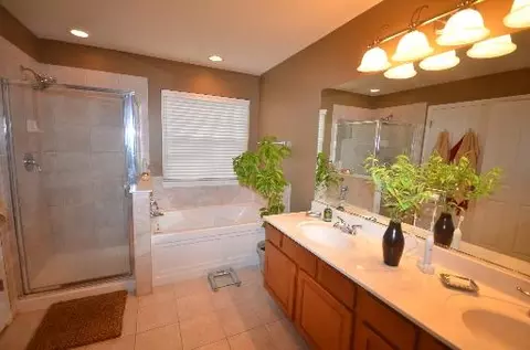 26340 Mapleview Dr, Plainfield, IL 60585 photo 12