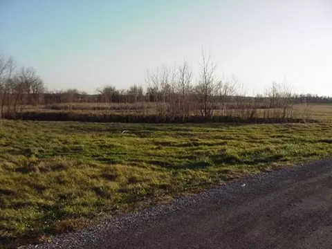 2701 E Brunswick Rd, Beecher, IL 60401 photo 15