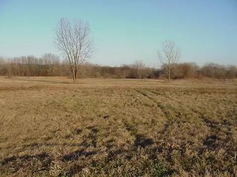 2701 E Brunswick Rd, Beecher, IL 60401 photo 14