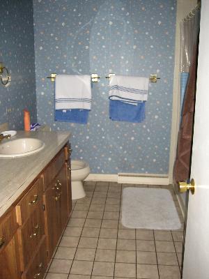 8047 Alabama Ave, Willowbrook, IL 60527 photo 7