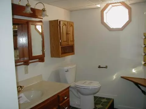 207 12 Devlin St, Spring Valley, IL 61362 photo 4