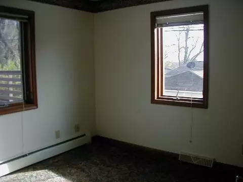 207 12 Devlin St, Spring Valley, IL 61362 photo 9