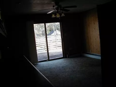 207 12 Devlin St, Spring Valley, IL 61362 photo 8