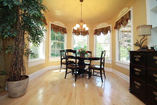 802 Forest Ave, Geneva, IL 60134 photo 8