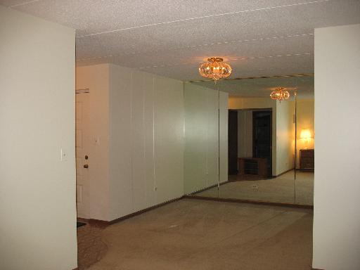 6200 Willowhill Rd #A, Willowbrook, IL 60527 photo 4