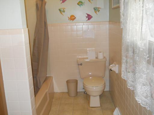 115 E First St, Cedar Point, IL 61316 photo 13