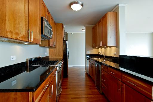 450 E Waterside Dr #2302, Chicago, IL 60601 photo 4
