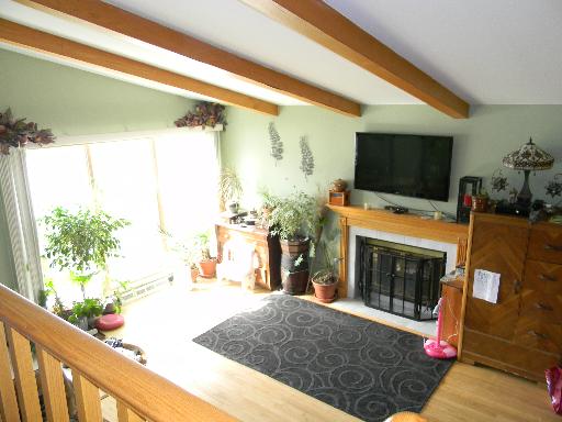 2697 Joseph Ave, Des Plaines, IL 60018 photo 2