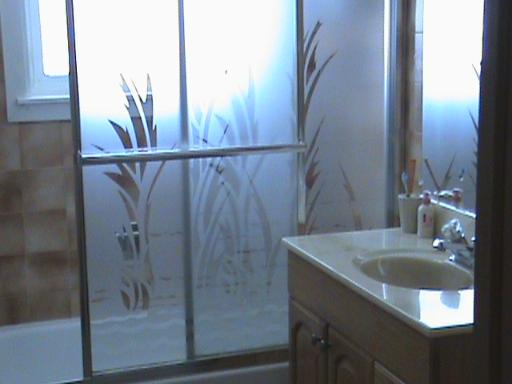 13431 Central Ave, Midlothian, IL 60445 photo 9