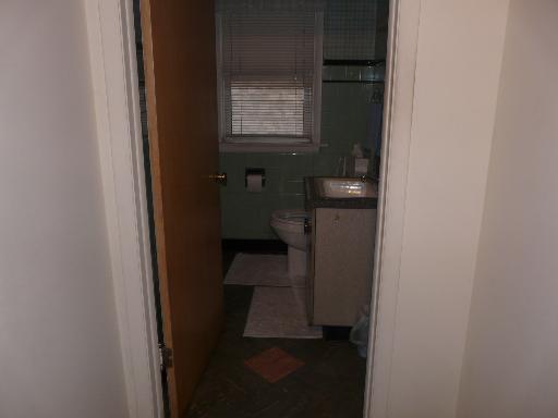 3910 W 83rd St, Chicago, IL 60652 photo 9