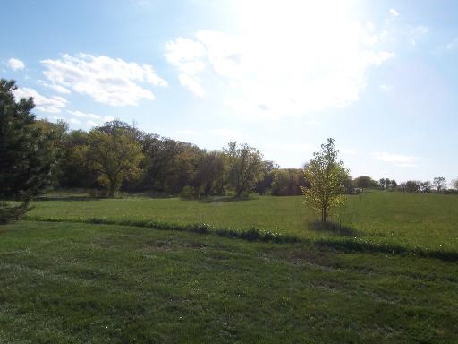 950 Ferrara Ct, Cary, IL 60013 photo 2