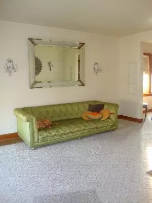 5358 S Springfield Ave, Chicago, IL 60632 photo 3