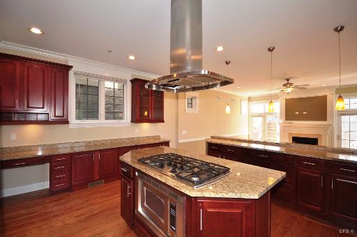 1215 E 46th St, Chicago, IL 60653 photo 4
