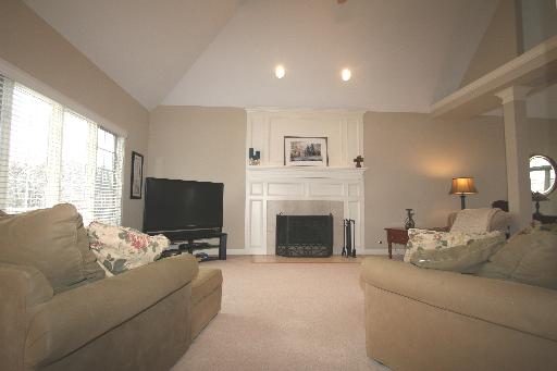 5560 Bergamot Ln, Naperville, IL 60564 photo 4