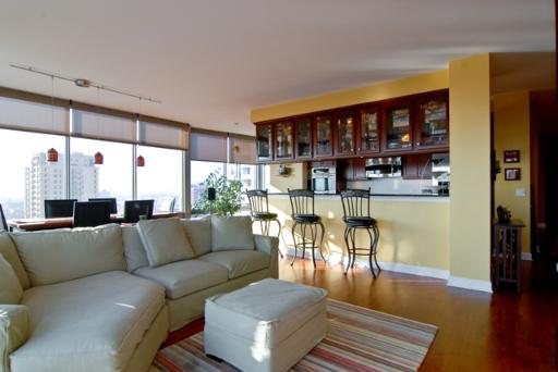 100 E 14th St #2105, Chicago, IL 60605 photo 4