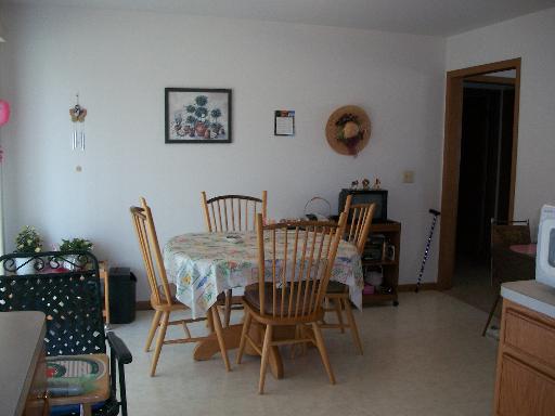 245 Calkey St, Diamond, IL 60416 photo 6