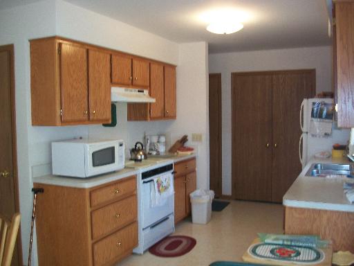 245 Calkey St, Diamond, IL 60416 photo 5