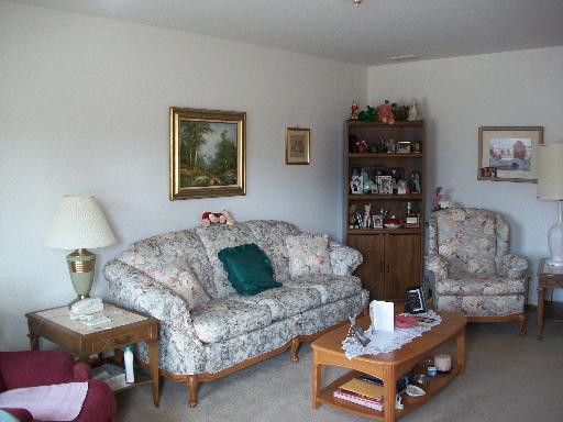 205 Calkey St, Diamond, IL 60416 photo 3