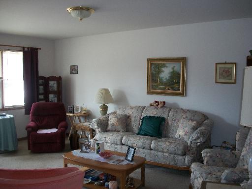 205 Calkey St, Diamond, IL 60416 photo 4