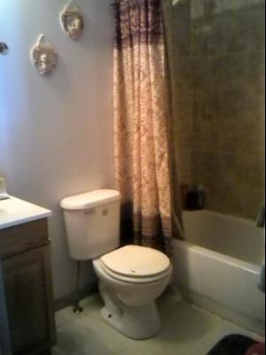 525 Grace St, Elgin, IL 60120 photo 8