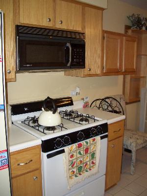 313 Walters Ln #2B, Itasca, IL 60143 photo 7