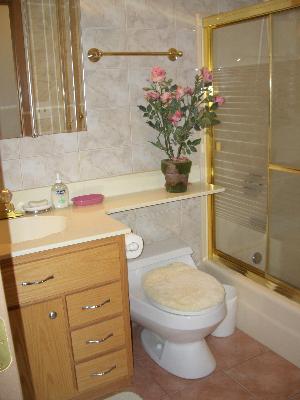 313 Walters Ln #2B, Itasca, IL 60143 photo 10