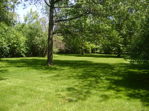 9801 Elm Ter, Des Plaines, IL 60016 photo 5