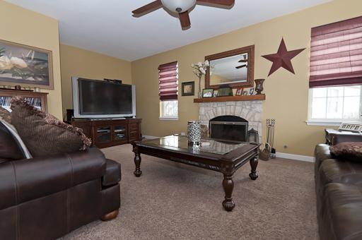 13838 Trillium Ln, Plainfield, IL 60544 photo 5