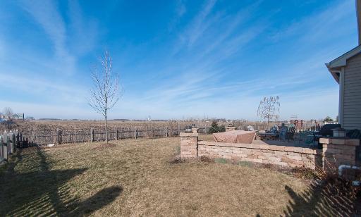 13838 Trillium Ln, Plainfield, IL 60544 photo 16