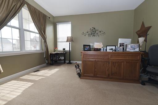 13838 Trillium Ln, Plainfield, IL 60544 photo 8