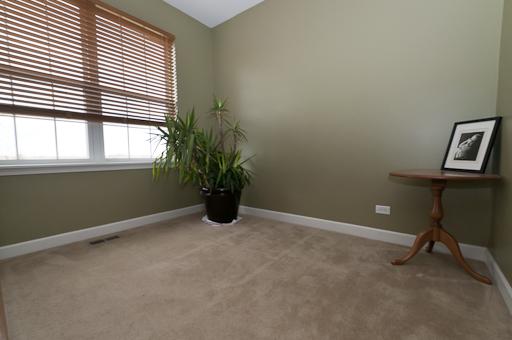 13838 Trillium Ln, Plainfield, IL 60544 photo 7
