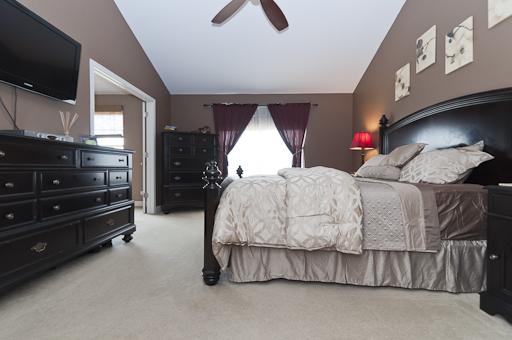 13838 Trillium Ln, Plainfield, IL 60544 photo 10